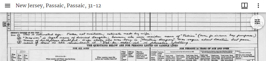 Screen capture of a population schedule from Passaic County, New Jersey, showing the notes field.